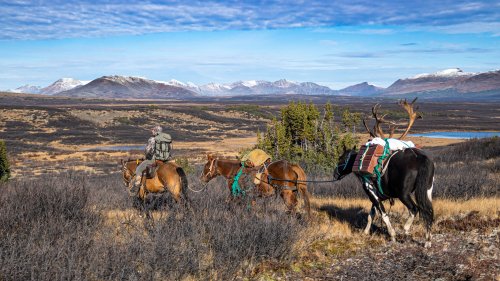 Marcus_Hockett_BC_Caribou_2019-275.jpg