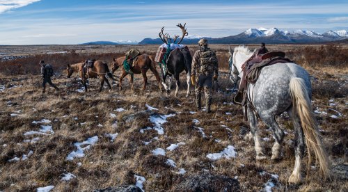 Marcus_Hockett_BC_Caribou_2019-278.jpg