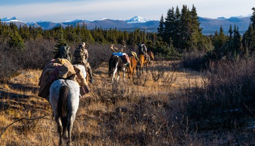 Marcus_Hockett_BC_Caribou_2019-267.jpg