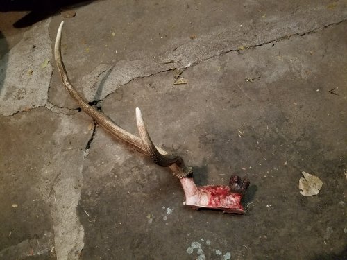 20171121_220227.jpg 20171121_220227.jpg