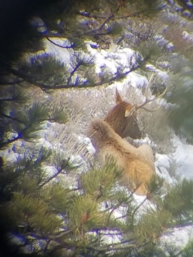 20171119_112015.jpg 20171119_112015.jpg