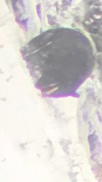 DF9CB849-D9AD-47E8-8C43-65383A52D6B1.jpeg