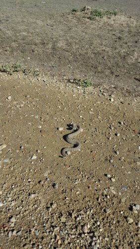 20181001_104733.jpg 20181001_104733.jpg