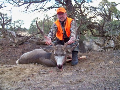 2010 CO Mule Deer-1.jpg