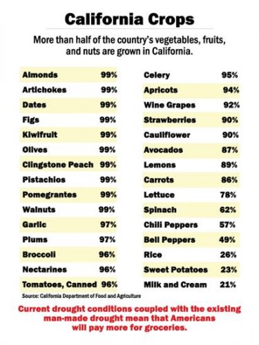 9ea3b027-8de6-4699-8307-0440ae3748c1.jpg 9ea3b027-8de6-4699-8307-0440ae3748c1.jpg