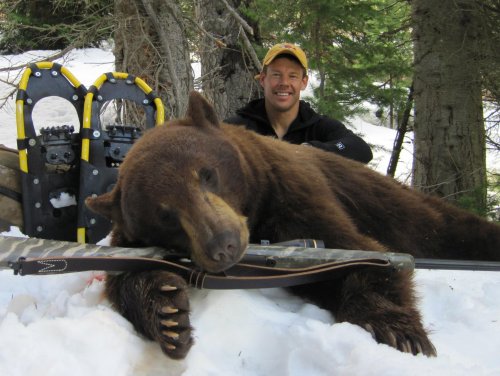 WYbear2010.jpg WYbear2010.jpg