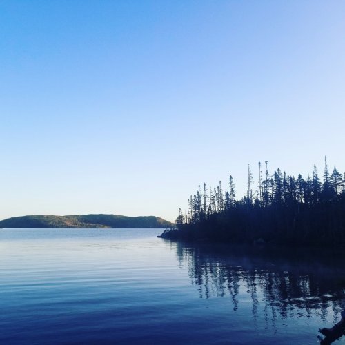 0281DDDC-CB25-479D-9D08-F440D704EBAE.jpeg 0281DDDC-CB25-479D-9D08-F440D704EBAE.jpeg
