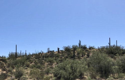NM drive PHX.JPG NM drive PHX.JPG