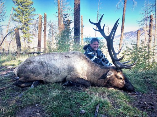 NM 2019 10 05 Muzzleloader Elk LMP.JPG NM 2019 10 05 Muzzleloader Elk LMP.JPG