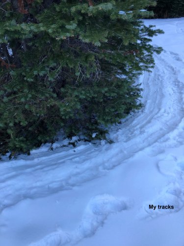 drag-trail - 6.jpg
