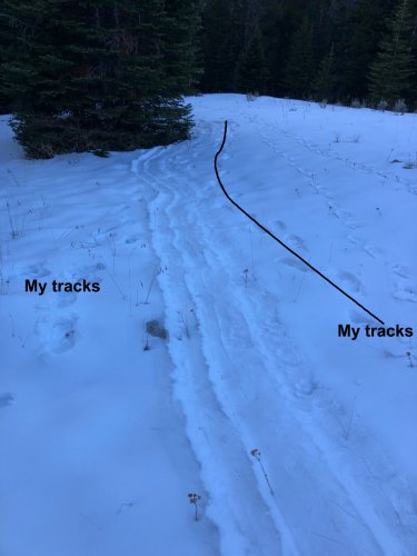drag-trail - 5.jpg