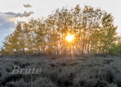 Steens Fall Colors  Sunset October 2019 a-2581.jpg