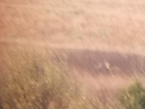 20191019_202905.jpg 20191019_202905.jpg