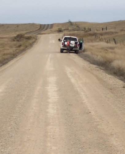 Screen Shot 2019-10-20 at 11.38.49 AM.png