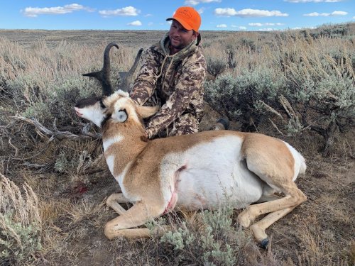 Antelope 2019-1.jpg