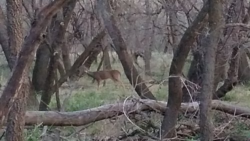 20191021_075401.jpg 20191021_075401.jpg