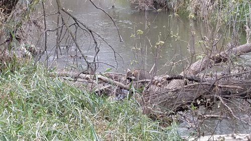 20191021_090602.jpg 20191021_090602.jpg