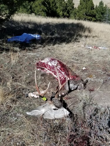 20171023_140555.jpg 20171023_140555.jpg