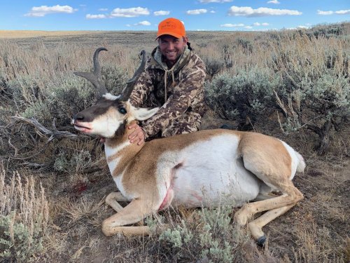 Antelope 2019-6.jpg