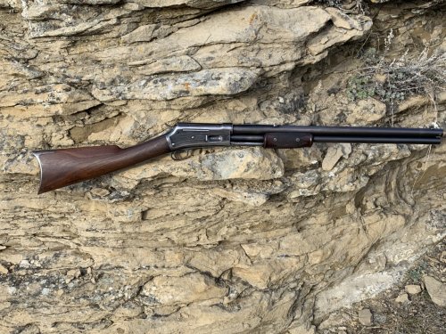 thumbnail_IMG_7951.jpg thumbnail_IMG_7951.jpg