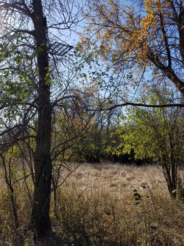 20191023_114335.jpg 20191023_114335.jpg