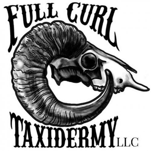 FullCurlLogo copy.jpg