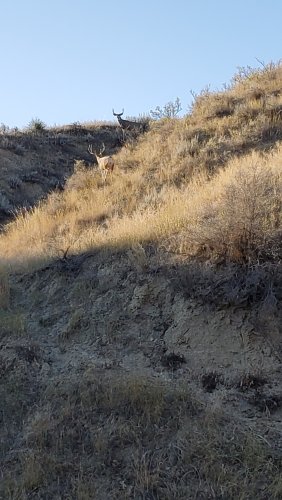 20191012_165535.jpg 20191012_165535.jpg