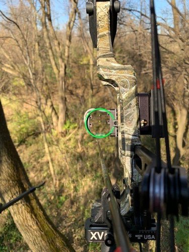 bow.jpg bow.jpg