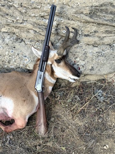 thumbnail_IMG_7956.jpg thumbnail_IMG_7956.jpg