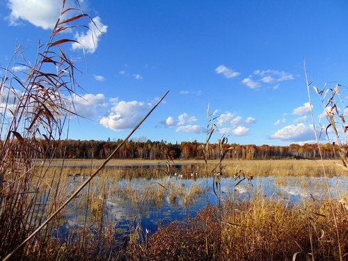 Briggs Lake.JPG