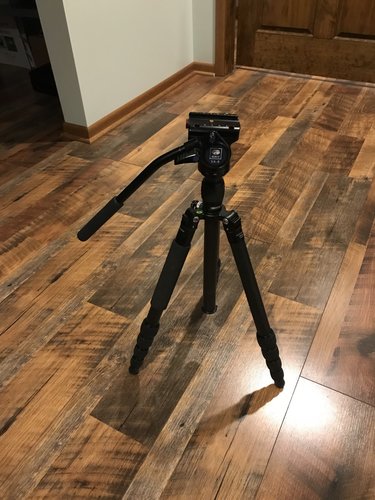 Tripod & Head.jpg