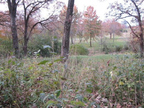 IMG_0750.JPG IMG_0750.JPG