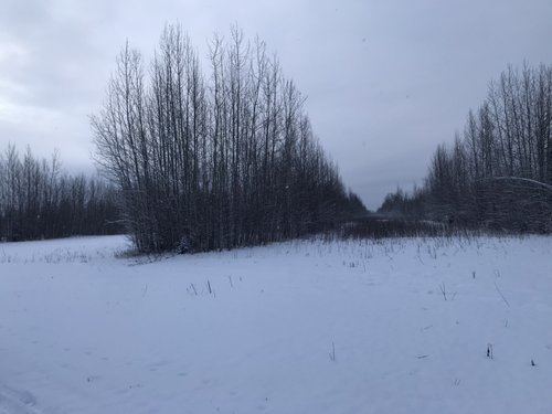 F3126B46-27DF-4CC2-907F-34E9989F99A1.jpeg F3126B46-27DF-4CC2-907F-34E9989F99A1.jpeg