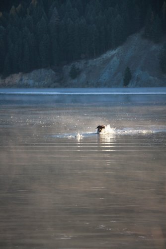IMG_1941 (2).JPG