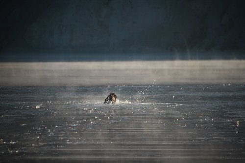 IMG_1969 (2).JPG