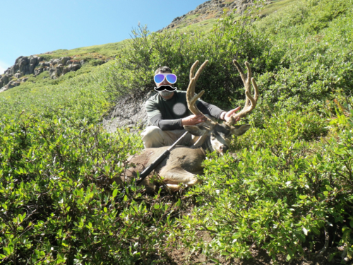 resized deer.png resized deer.png