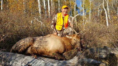 colorado rifle 2019 elk.JPG