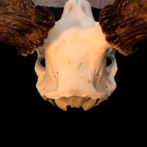 1573143199901.png 1573143199901.png