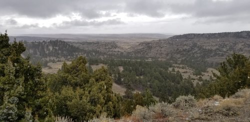 20191023_130705.jpg 20191023_130705.jpg
