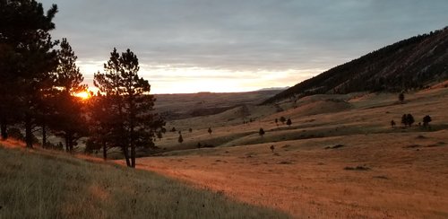 20191021_073317.jpg 20191021_073317.jpg