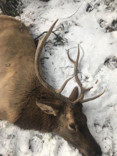 5332D0DD-2BFF-4E46-8B49-9175E8BC4268.jpeg 5332D0DD-2BFF-4E46-8B49-9175E8BC4268.jpeg