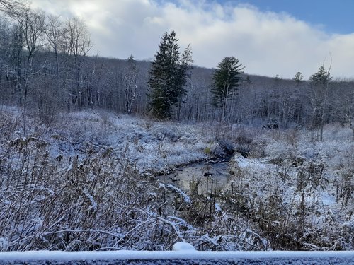 20191108_133236.jpg 20191108_133236.jpg