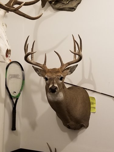 20190110_204739.jpg 20190110_204739.jpg
