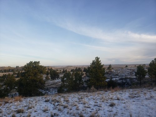 20191112_074530.jpg 20191112_074530.jpg