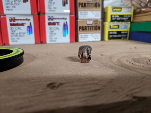 Elk Bullet 2019.jpg