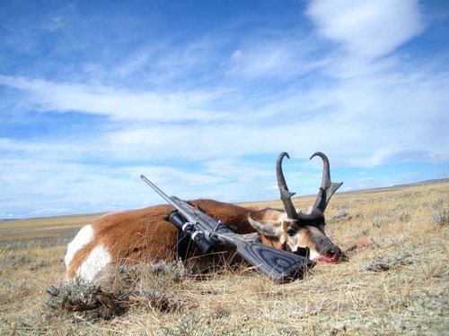 Wyoming Antelope hunt 2010 016.jpg