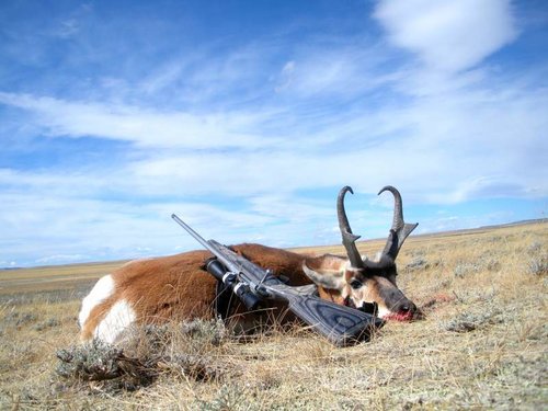 Wyoming Antelope hunt 2010 016.jpg