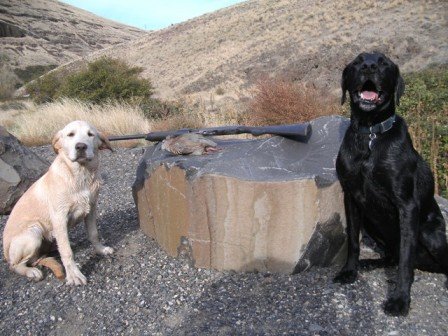 SANY0331.JPG SANY0331.JPG