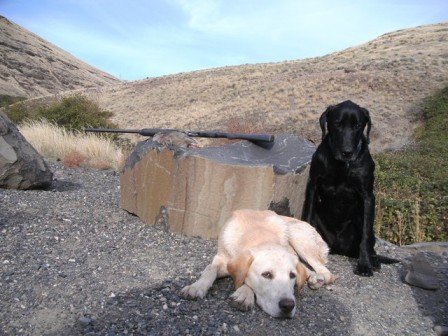 SANY0335.JPG SANY0335.JPG