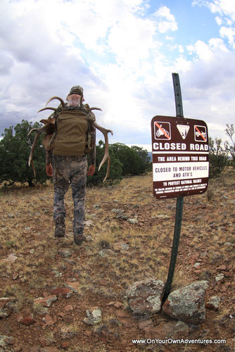 nm elk cody 2010 038.jpg